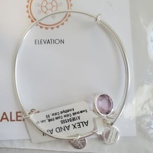 Alex and Ani Amethyst color Swarovski stone Elevation bracelet